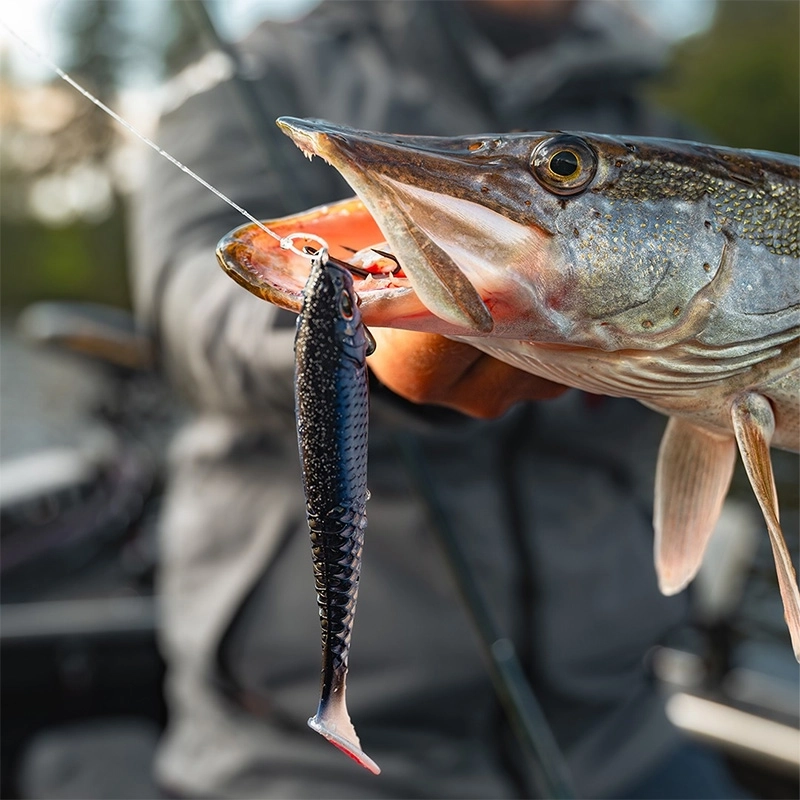 Berkley PowerBait Cullshad Mixpacks